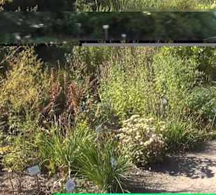 Botanischer Garten 