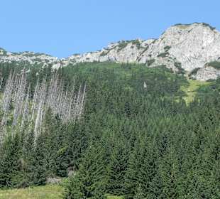 Tatrzański Park Narodowy