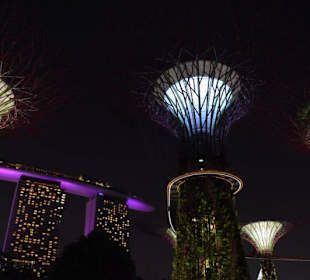 Gardens by the Bay