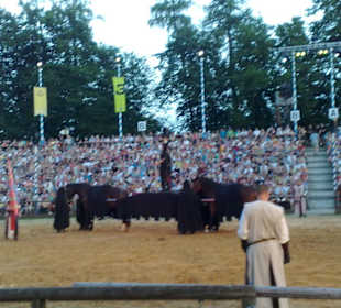 Kaltenberger Ritterturnier 2010