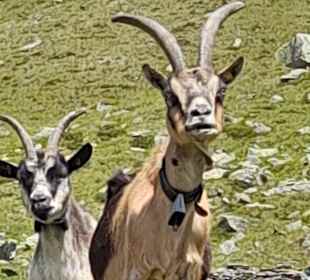 Wandern Ridnaun Ratschings