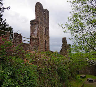 Burg Zavelstein 