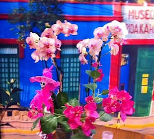 Frida Kahlo - Kunstmuseum Gehrke-Remund Baden-Baden