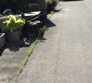 Historische Häuser der ehemaligen Gärtnerei