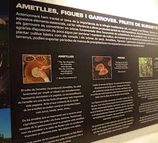 Ibizas Schätze: Mandeln - Feigen - Johannisbrot