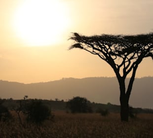 Tsavo West