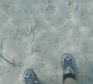 Bahia de las Aguilas