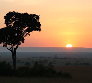 Wildreservat Masai Mara