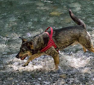 Wandern Ried im Zillertal