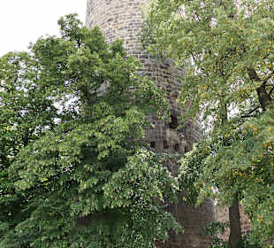 Burgschänke Schönburg