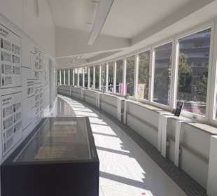 Staatliches Museum für Archäologie