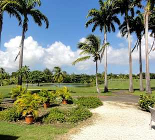 Spaziergang über den Platz