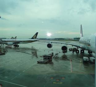 Changi airport