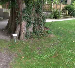 Casino auf der Roseninsel