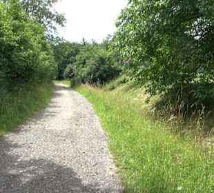 Premiumspazierweg Früchtetrauf-Leisawegle