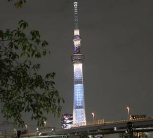 Sky Tree