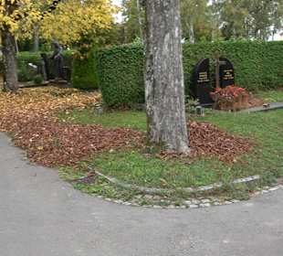 Hauptfriedhof Friedrichshafen