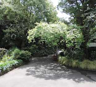 Eden Garden ein Paradies mitten in der Stadt