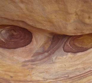 Die berühmten Augen 