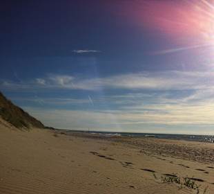 Kurische Nährung Strand