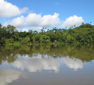 Rio Sierpe