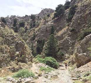 Imbrosschlucht 