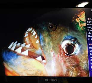 Aquarium Cala Gonone