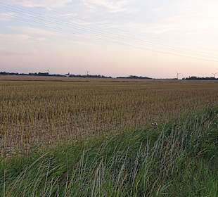 Wandern Emmelsbüll-Horsbüll