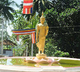 Tempel bei Ambalangoda