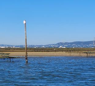 Bootstour Ria Formosa