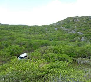 Christoffelpark: Peters Bus