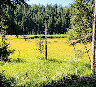 Wandern Ochsengarten