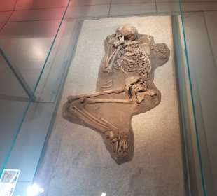 Staatliches Museum für Archäologie