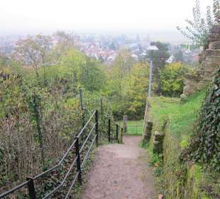 Ruine Wachtenburg