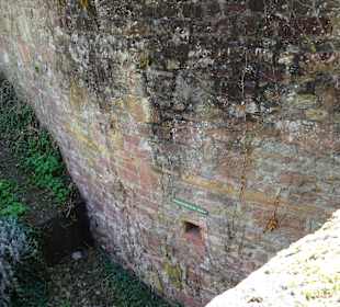 Beim Lobdengau-Museum