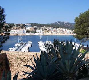 San Feliu