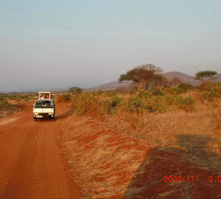 Safari Bus