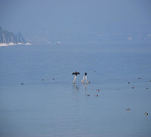 Der Morgennebel ist noch nicht weg!