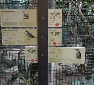 Zoologischer Garten