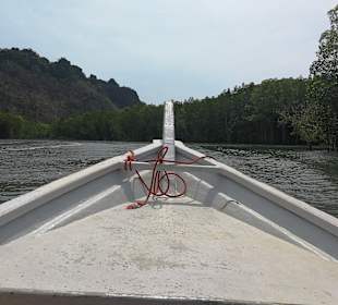 Mangroventour Peter Höfinger