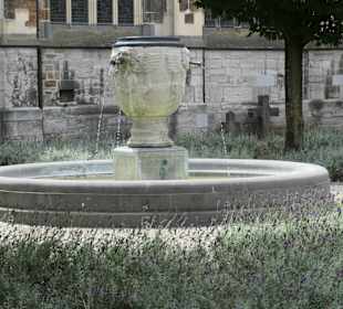 Besichtigung Servatiusbasilika (mit Schatzkammer)