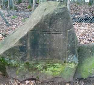 Wildpark Betzenberg in Kaiserslautern
