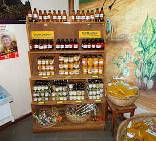 Rundgang durch das Maison du Curcuma