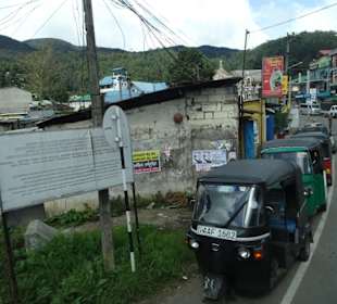 Hochland von Sri Lanka