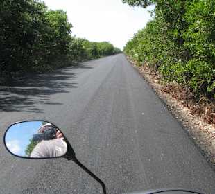Tolle Einsame Straßen in der Wildnis