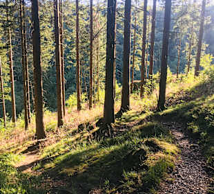 Wandern Schulenberg im Oberharz