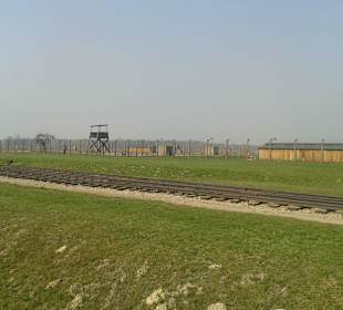 Birkenau