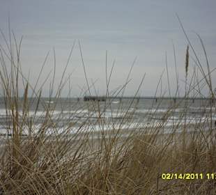 Seebrücke von Zingst