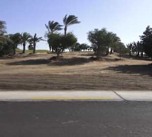 Stadtrundgang El Gouna
