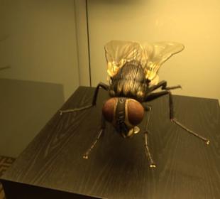 Museum für Naturkunde